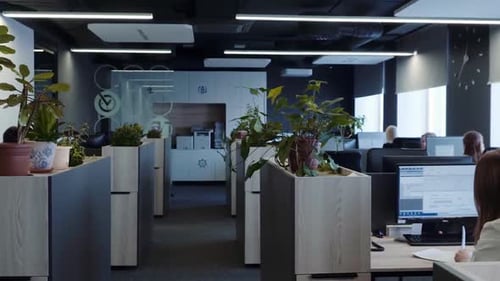 Office managers working at computers