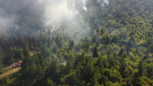 Fire in the forest aerial view. Cinematic aerial shot fire in the forest.