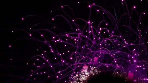 Fireworks Purple Gold