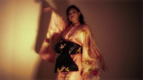 Japan Kimono Gogo Dancer Kabarett