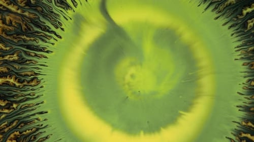 Crystal Germination