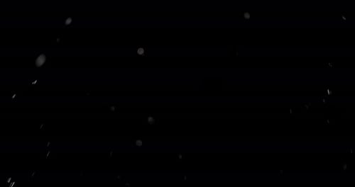 Water Droplets Rising on Black Background