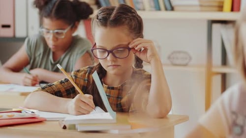 Elementary School Children Working at Desks