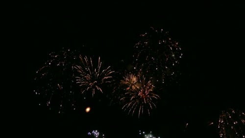 Dazzling Fireworks Light Up the Night Sky