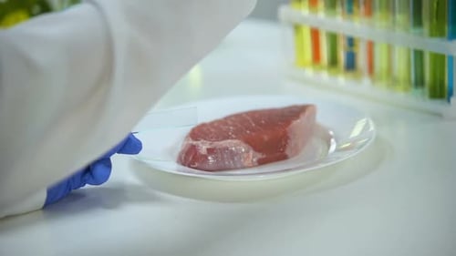 Scientifique effectuant un test de qualité de la viande, goutte de liquide sur le verre, épidémie de PPA