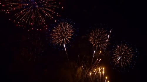 Colorful Firework display at night on sky background