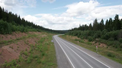 Aerial View of Scenic Road Between Green Trees with Pines on a Sunny Summer Morning
