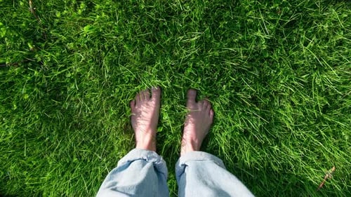 Sommer