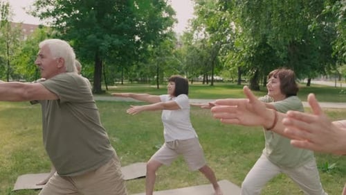 Seniors Practice Yoga Outdoors Together in the Park