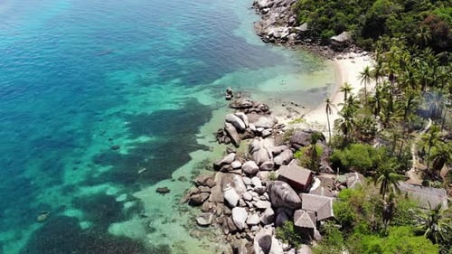 Bungalows and Green Coconut Palms on Tropical Beach, Cottages on Sandy Shore of Diving and