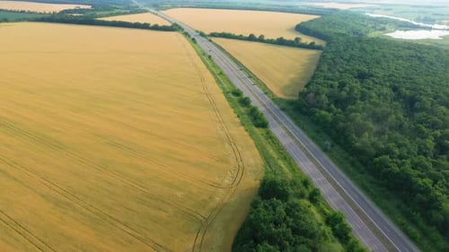 Aerial View Of Green Fields 27