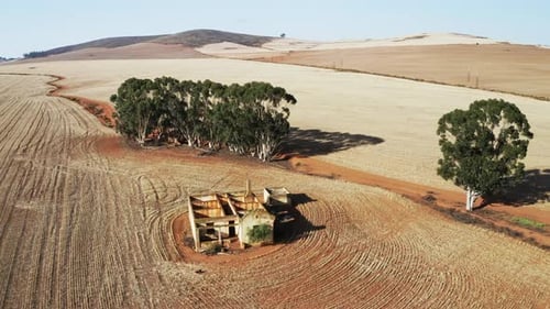 Casa de campo abandonada y árboles en sus alrededores