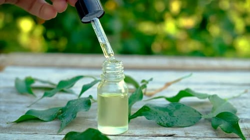 Óleo essencial de melaleuca em uma garrafa pequena