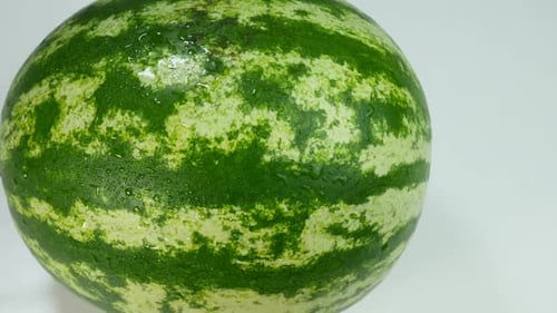Appetizing Green Watermelon