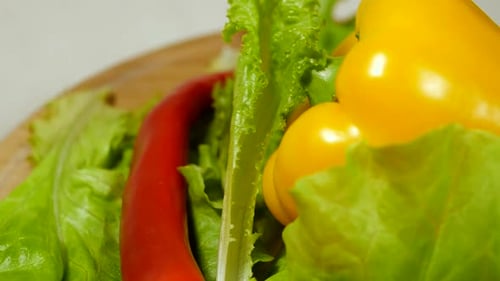 Fresh Vegetables: Colorful Peppers and Lettuce Close Up
