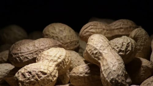Close Up Shot of Pile of Peanuts