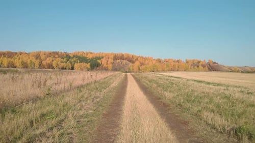 Road to the autumn forest