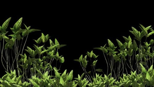 Animated Green Plants Element with Alpha Channel