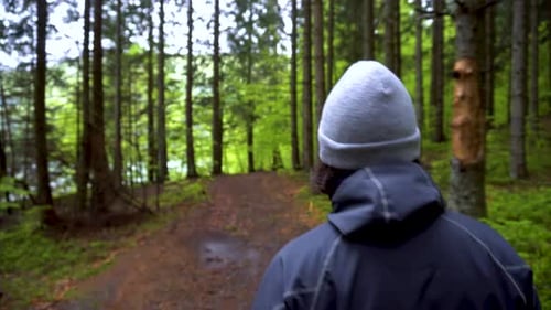 Mann, der im tiefen Wald spaziert. Junger Mann mit grauem Hut, der im Pinienwald spaziert. Frühlingssaison.