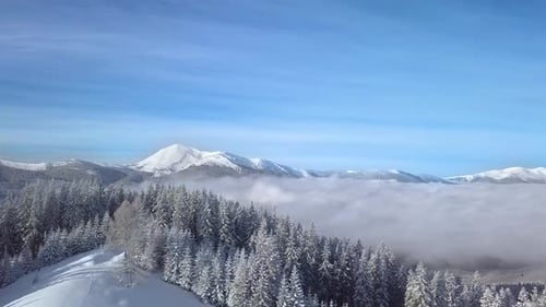Snowy Forest and Mountain Landscape Aerial View