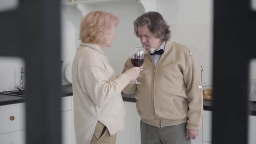 Elegant Senior Couple Toasting with Wine in Kitchen
