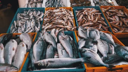 Frischer Seefisch in Eis, verkauft im Schaufenster des Seafood Street Market.