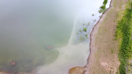 Lake among green fields. A pond surrounded by green meadows