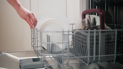 Hand Loading White Plates into Dishwasher