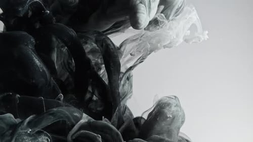 Abstract Black and White Paint Mixes in Water