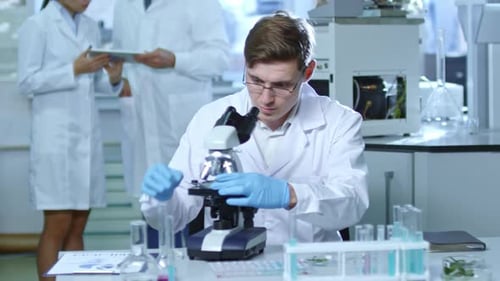 Plant Scientist at Work in Laboratory