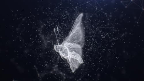 Mariposa Plexus