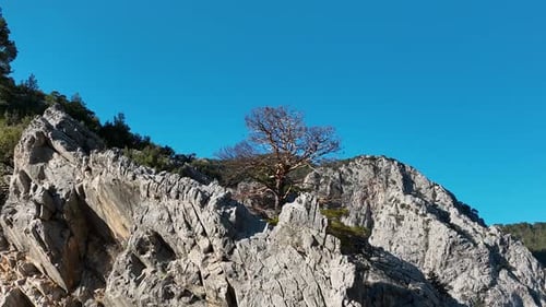Canyon in the mountains