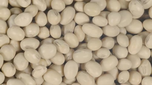 Close Up of Beige Soybeans Rotating Overhead