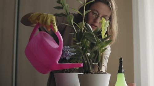 Young Woman Watering Green Plant in Pot