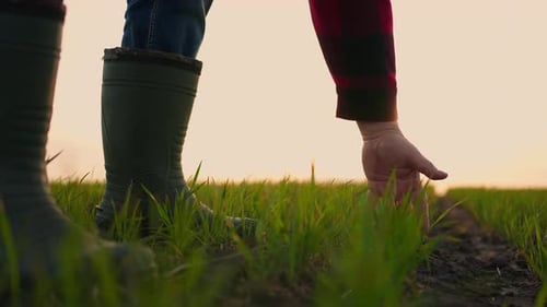 Farmer Tending to Crops in a Field at Sunrise