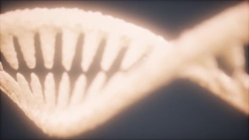 DNA Molecule on the Grey Background