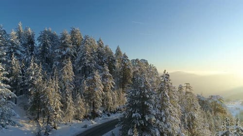 Flight Over the Road Through the Snowy Forest at Sunrise