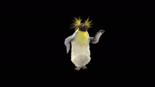 Penguin Dancing 4K