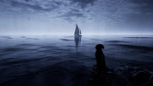 Night Sea View