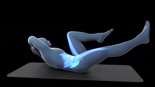 3D Animation of Core Muscles During Bicycle Crunches Exercise