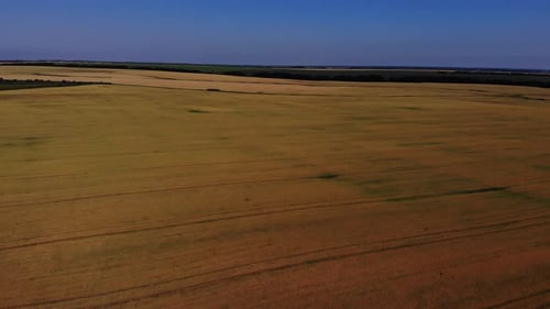 Aerial view of the wheat fields.