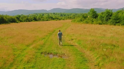 Drone Flies After Walking Man Summer Meadow