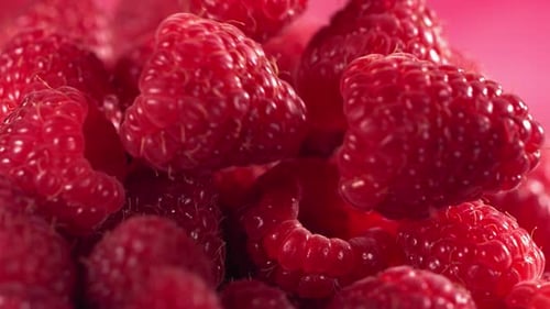 Delicious Red Raspberries Macro Falling Slow Motion