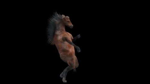 Dancing Horse Animated Character on Alpha Channel