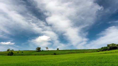 Rural landscape