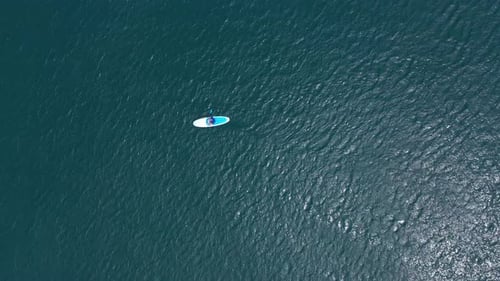 Sup Board in Sea