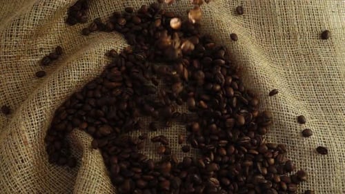 Coffee Beans Fall