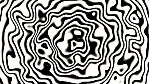 Abstract Fluid Organic Black and White Wavy Loop