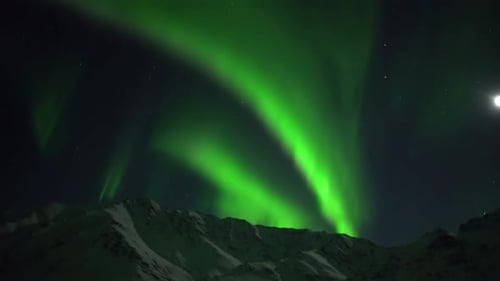 Aurora Borealis