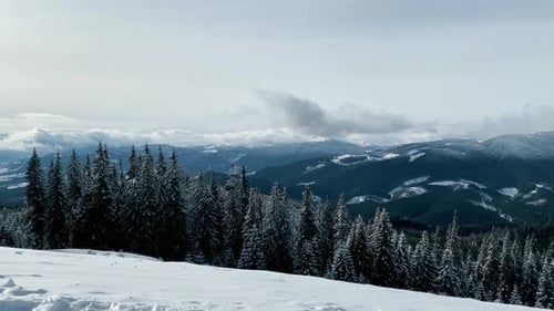 Landscape Panorama Winter Mountains and Forest in a Ski Resort Top of the Mountain